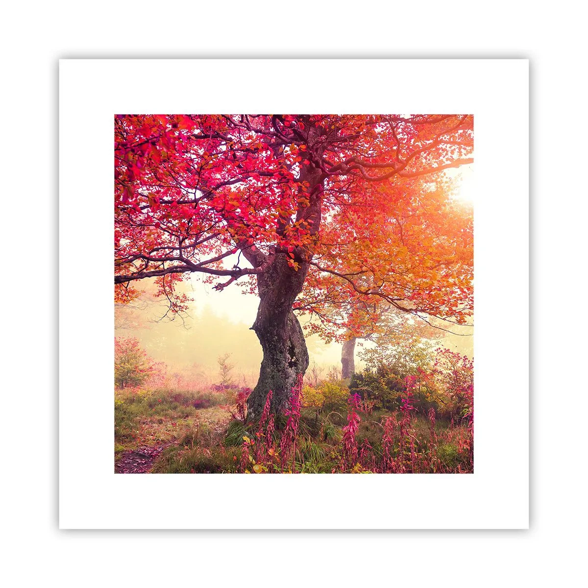 Poster - L'esplosione della fioritura - 30x30 cm