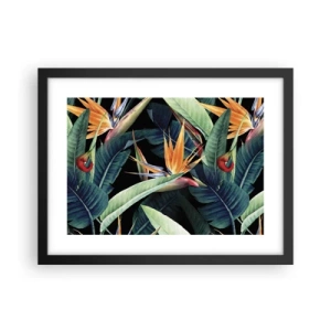 Poster in cornice nera - I fiori fiammeggianti dei tropici - 40x30 cm