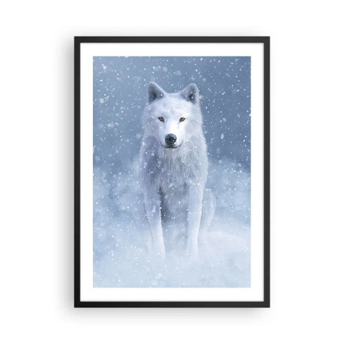 Poster in cornice nera - Un lupo bianco in un paesaggio invernale, circondato dalla neve. - 50x70cm - Nello spirito dell'inverno - Decorazione murale moderna per soggiorno e camera da letto ARTTOR