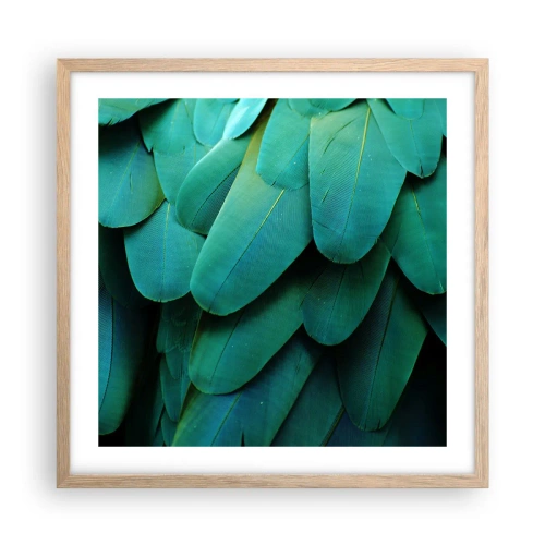 Poster in cornice rovere chiaro - Precisione da pappagallo - 50x50 cm