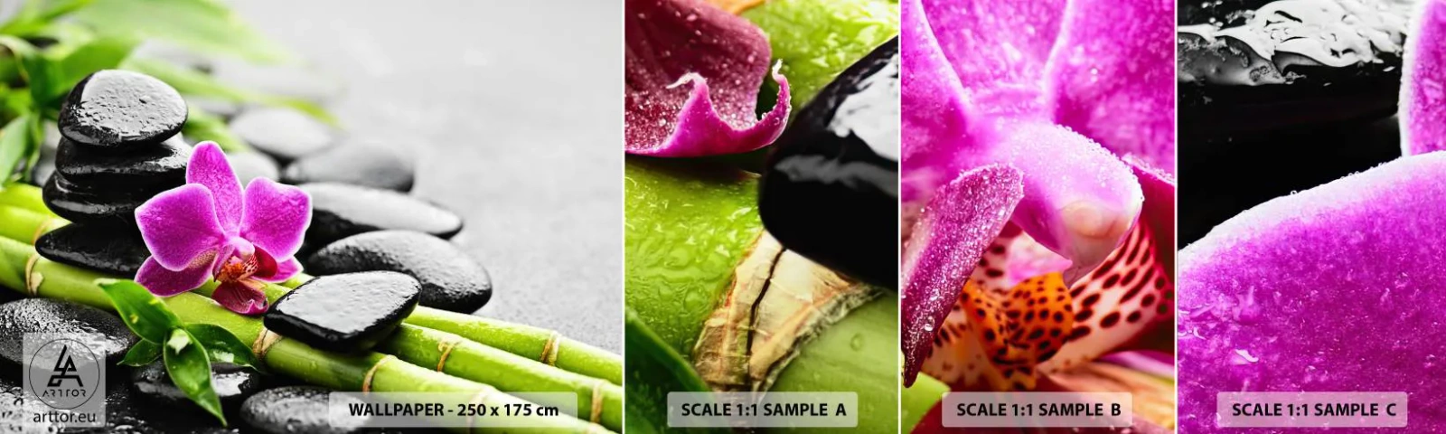 Campione Di Fotomurale Standard Eco - Un tranquillo equilibrio - Fiori, Orchidea, Orchidea - 100x30 cm