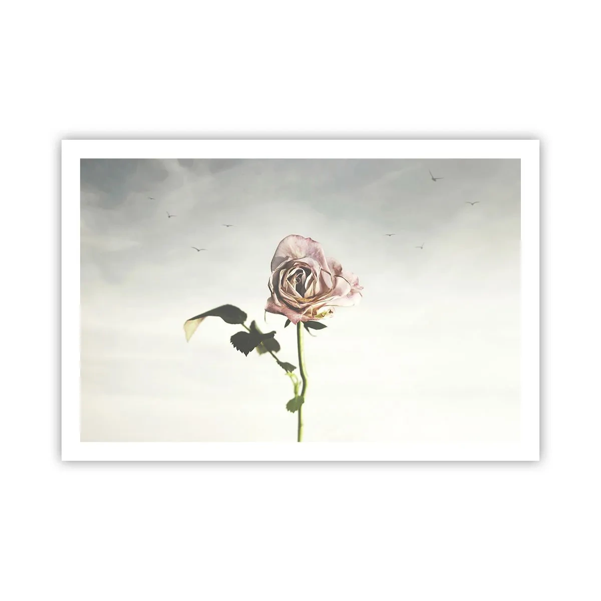 Poster - Il benvenuto alla primavera - 91x61 cm