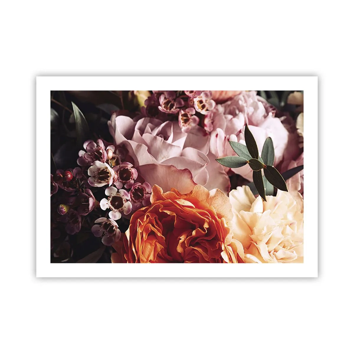 Poster - Avvolti dalla bellezza - 70x50 cm