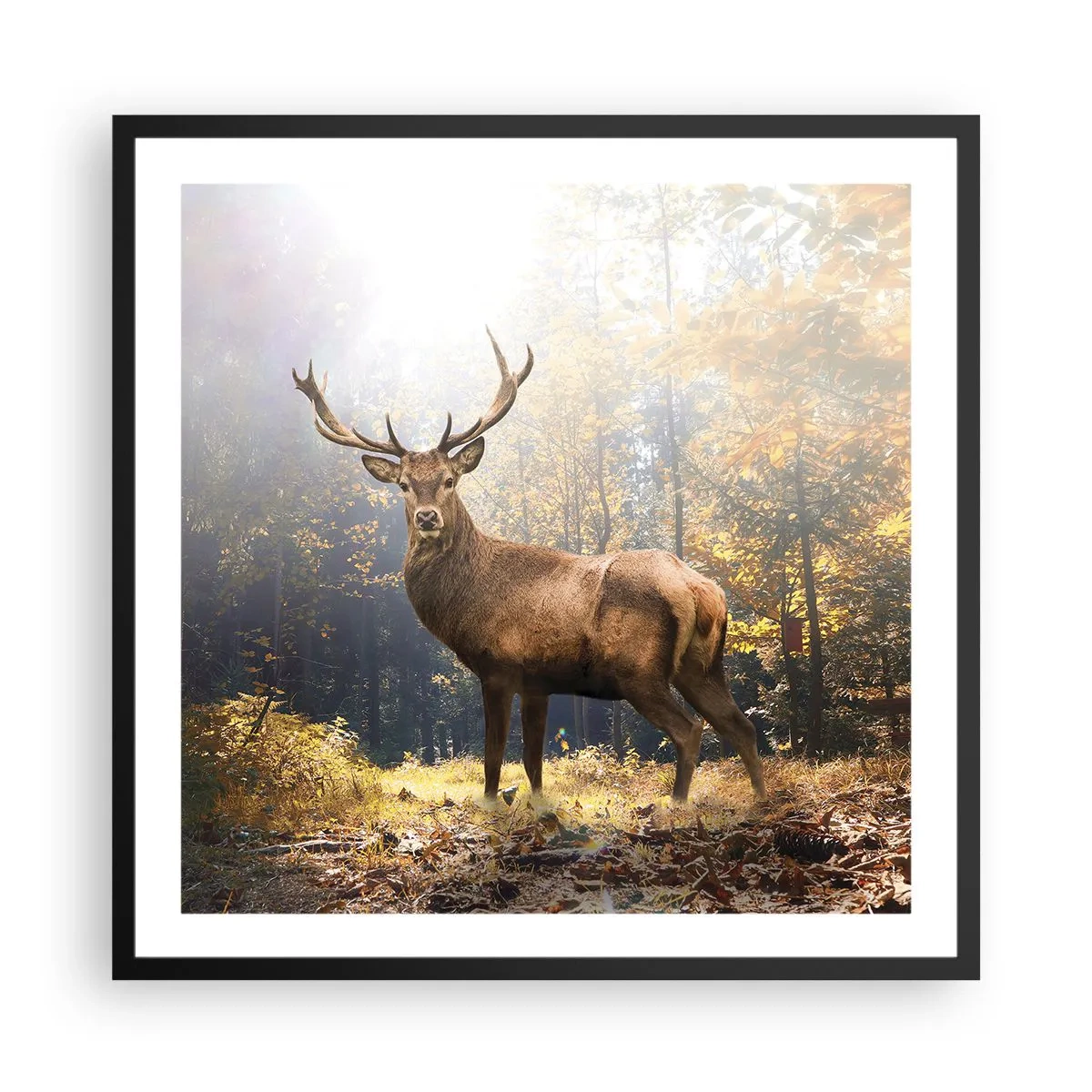 Poster in cornice nera - Nella piena maestà - 60x60 cm