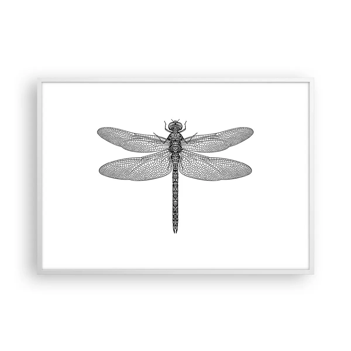 Poster in cornice bianca - La precisione della natura - 100x70 cm