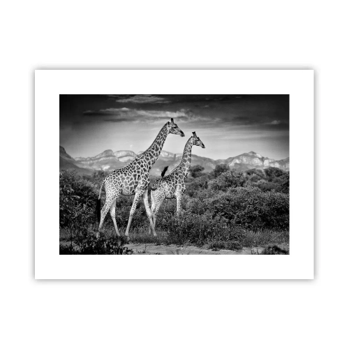 Poster - Alta classe in Africa - 40x30 cm