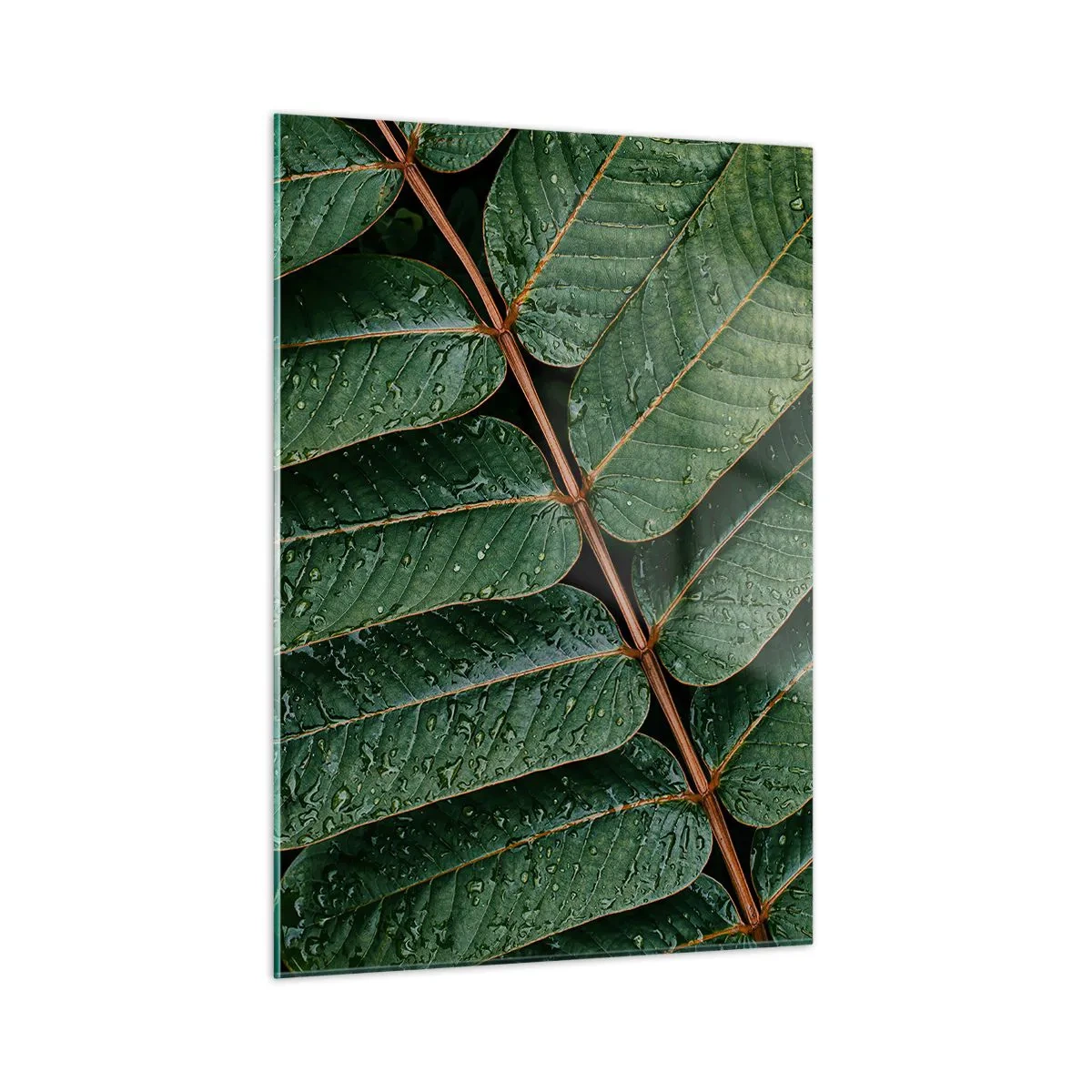 Quadro su vetro - Primo piano di foglie verdi con gocce d'acqua - 50x70cm - Al ritmo verde - Decorazione murale moderna per soggiorno e camera da letto ARTTOR