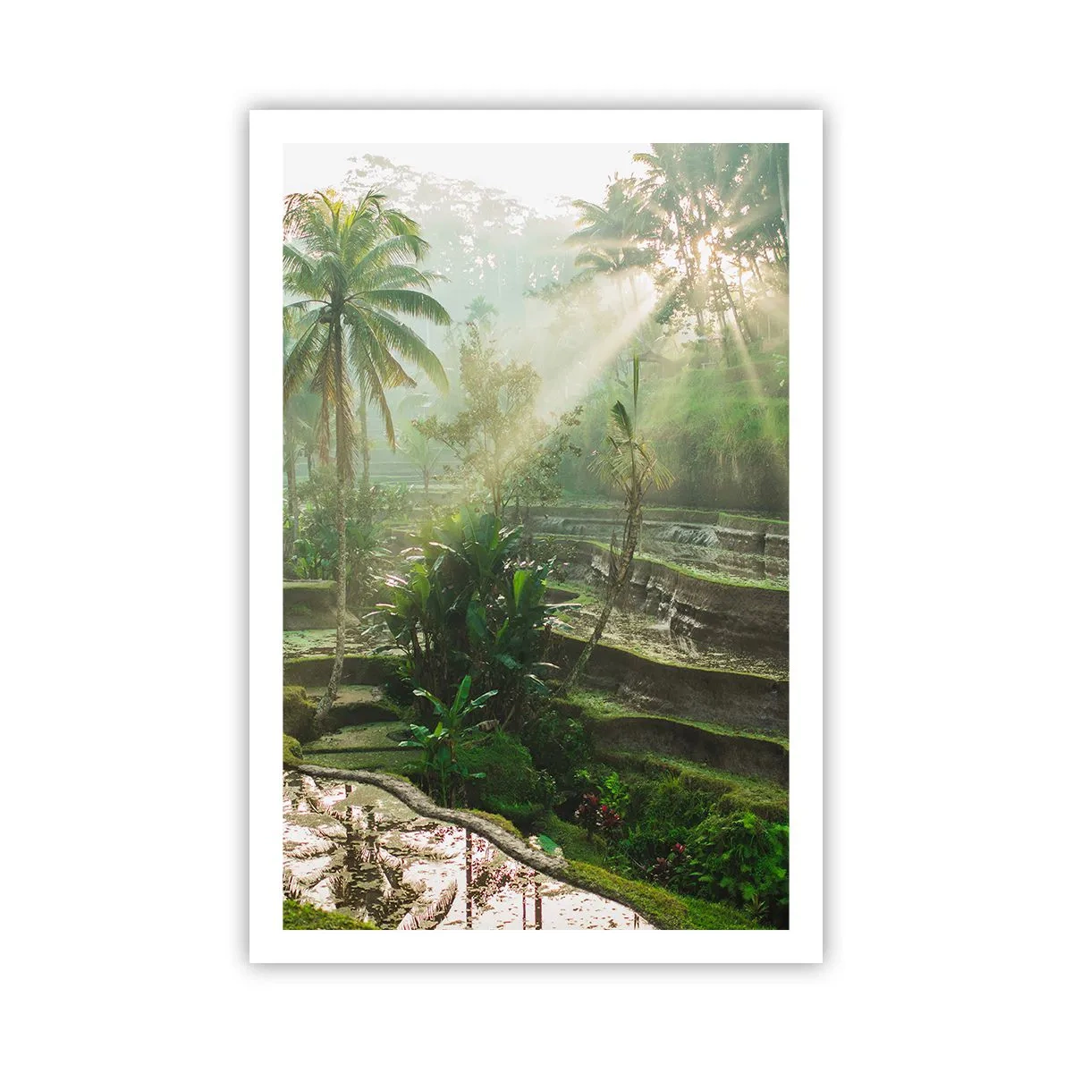 Poster - Crescere al sole - 61x91 cm