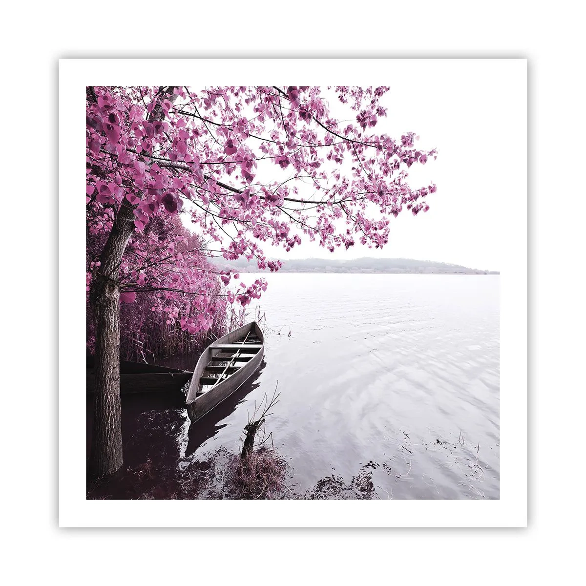 Poster - Nel silenzio rosa - 60x60 cm