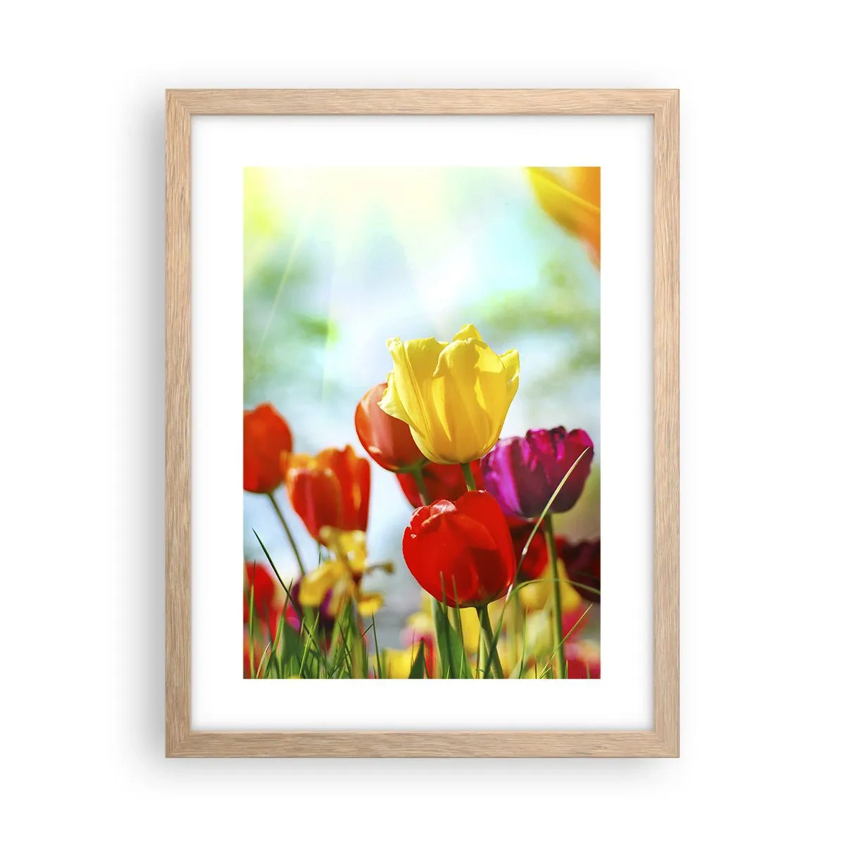 Poster in cornice rovere chiaro - Tutti i colori del sole - 30x40 cm