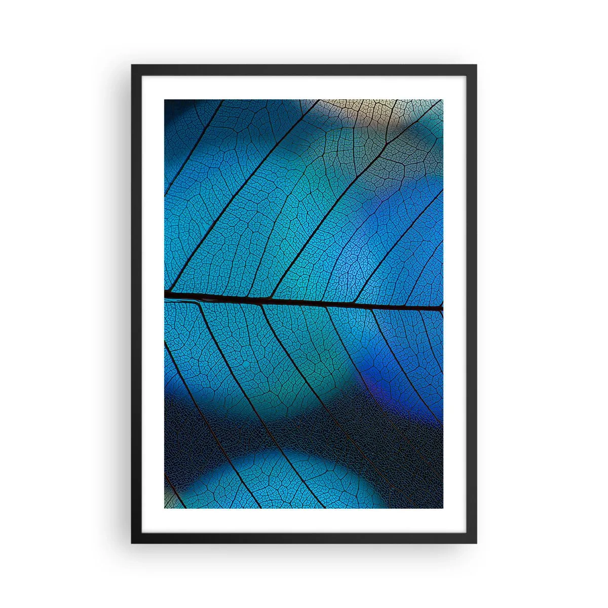 Poster in cornice nera - Primo piano di una foglia blu con venature evidenti - 50x70cm - Struttura intricata - Decorazione murale moderna per soggiorno e camera da letto ARTTOR