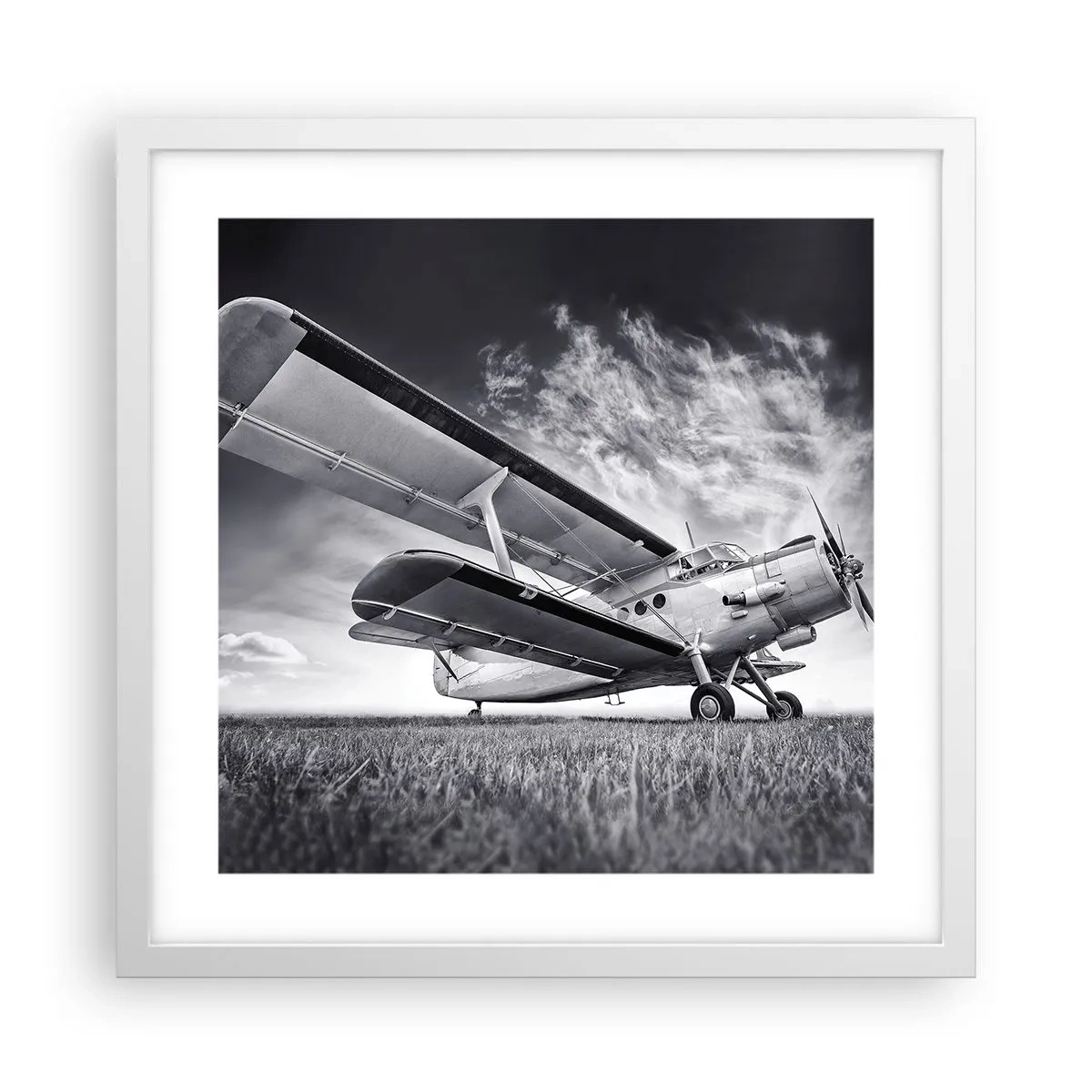 Poster in cornice bianca - Giramondo alato - 40x40 cm