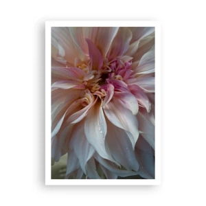 Poster - Freschezza in fiore - 70x100 cm