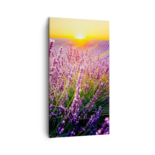Quadro su tela - Stampe su Tela - Campo profumato - 45x80 cm