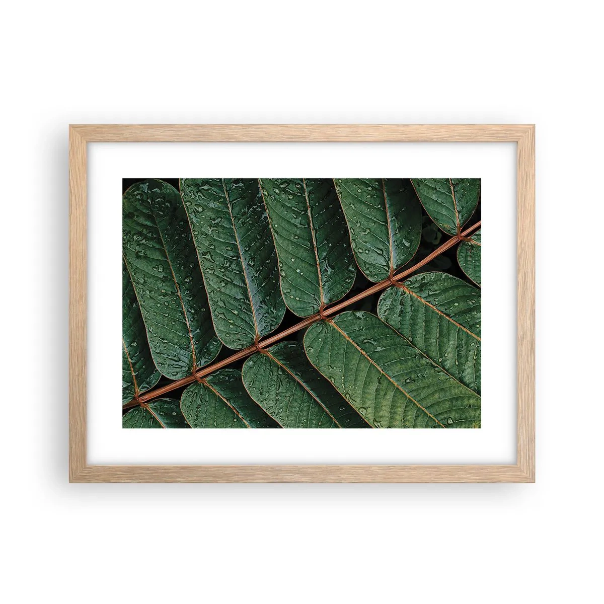 Poster in cornice rovere chiaro - Al ritmo verde - 40x30 cm