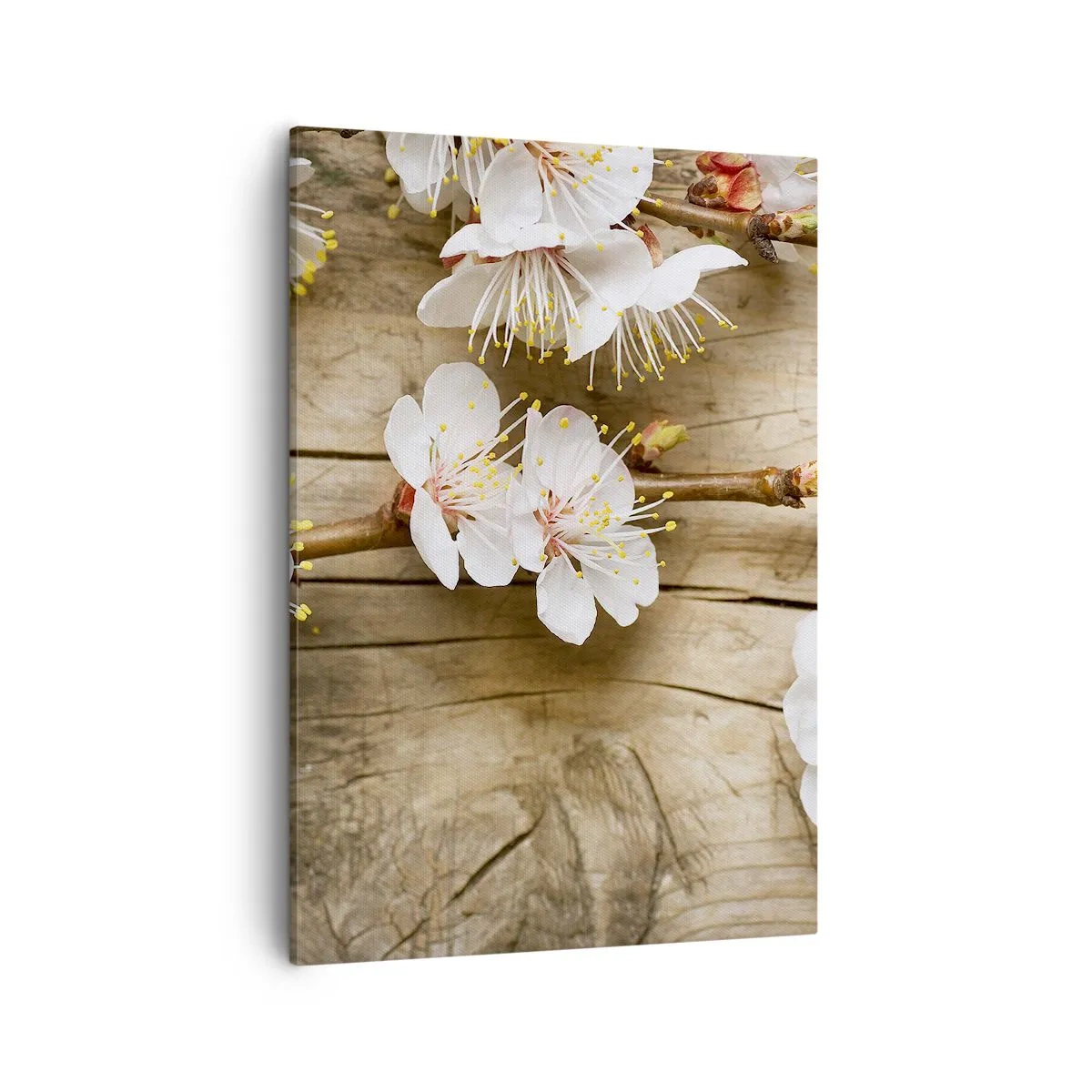 Quadro su tela - Stampe su Tela - Rami di ciliegi in fiore su uno sfondo di tavola di legno - 50x70cm - Ed è giunta la primavera - Decorazione murale moderna per soggiorno e camera da letto ARTTOR