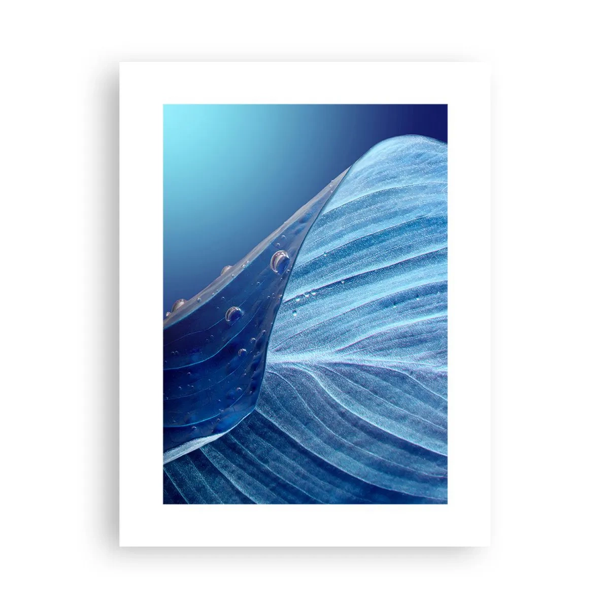 Poster - Gocce di blu nascoste - 30x40 cm