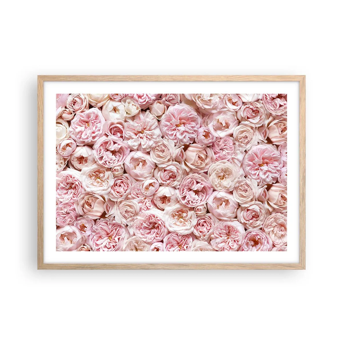 Poster in cornice rovere chiaro - Coperto di rose - 70x50 cm