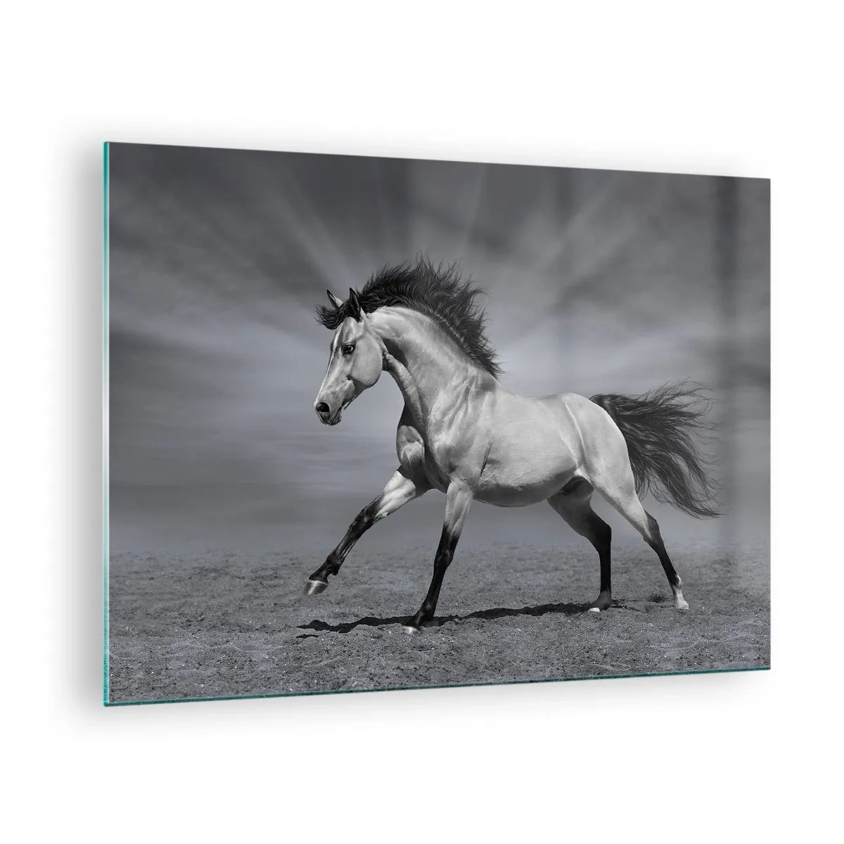 Quadro su vetro - Una foto in bianco e nero di un cavallo al galoppo in un campo aperto. - 70x50cm - Nato per affascinare - Decorazione murale moderna per soggiorno e camera da letto ARTTOR