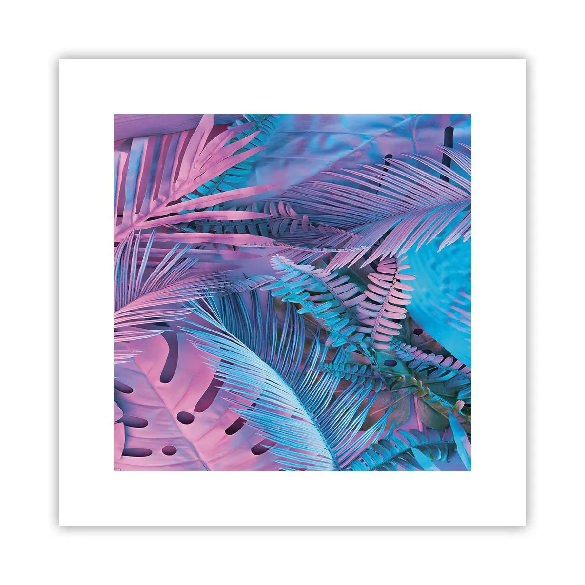 Poster - Tropici in rosa e blu - 30x30 cm