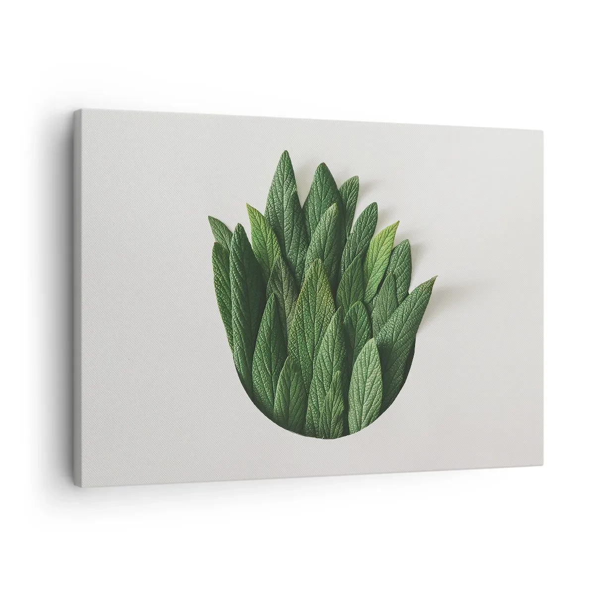 Quadro su tela - Stampe su Tela - Una composizione di foglie verdi su uno sfondo chiaro - 70x50cm - Curiosità irrefrenabile - Decorazione murale moderna per soggiorno e camera da letto ARTTOR