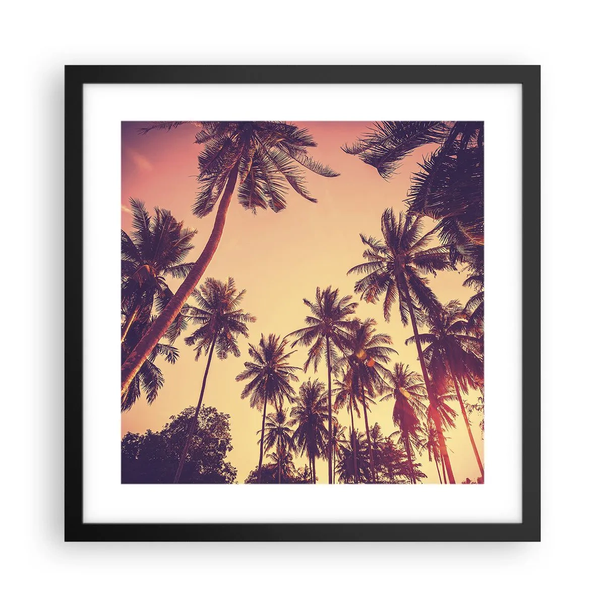 Poster in cornice nera - Composizione tropicale - 40x40 cm