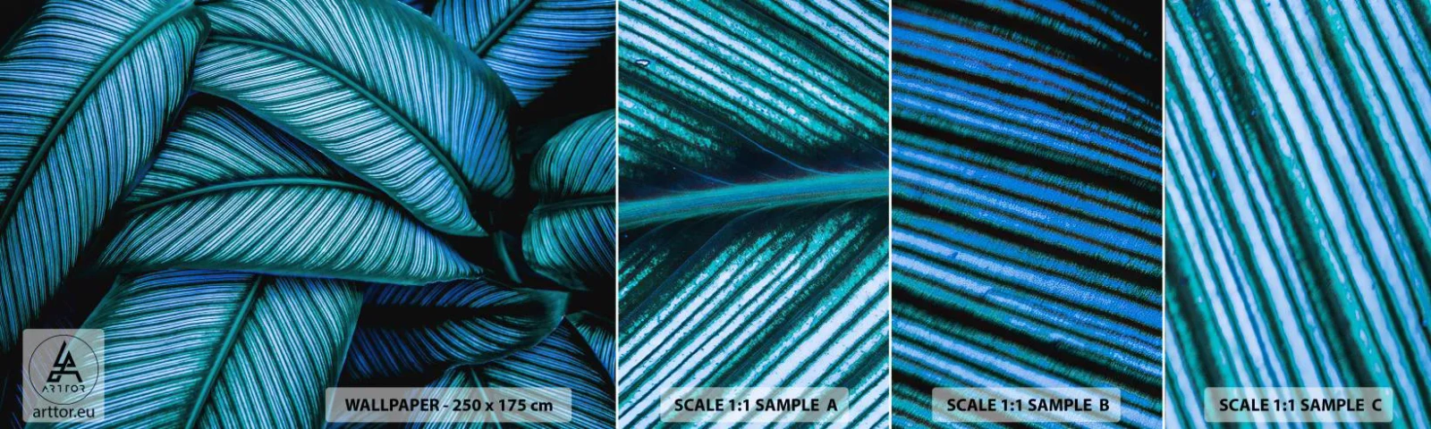 Campione Di Fotomurale Standard Eco - Le linee della vita - Foglie, Botanica, Impianti - 100x30 cm