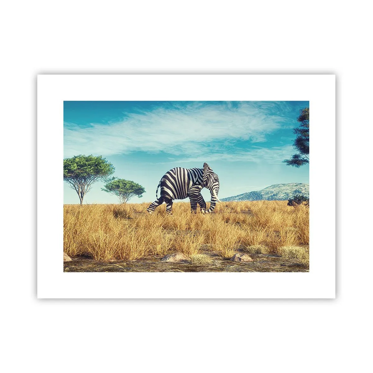 Poster - Il grigio non è più di moda - 40x30 cm