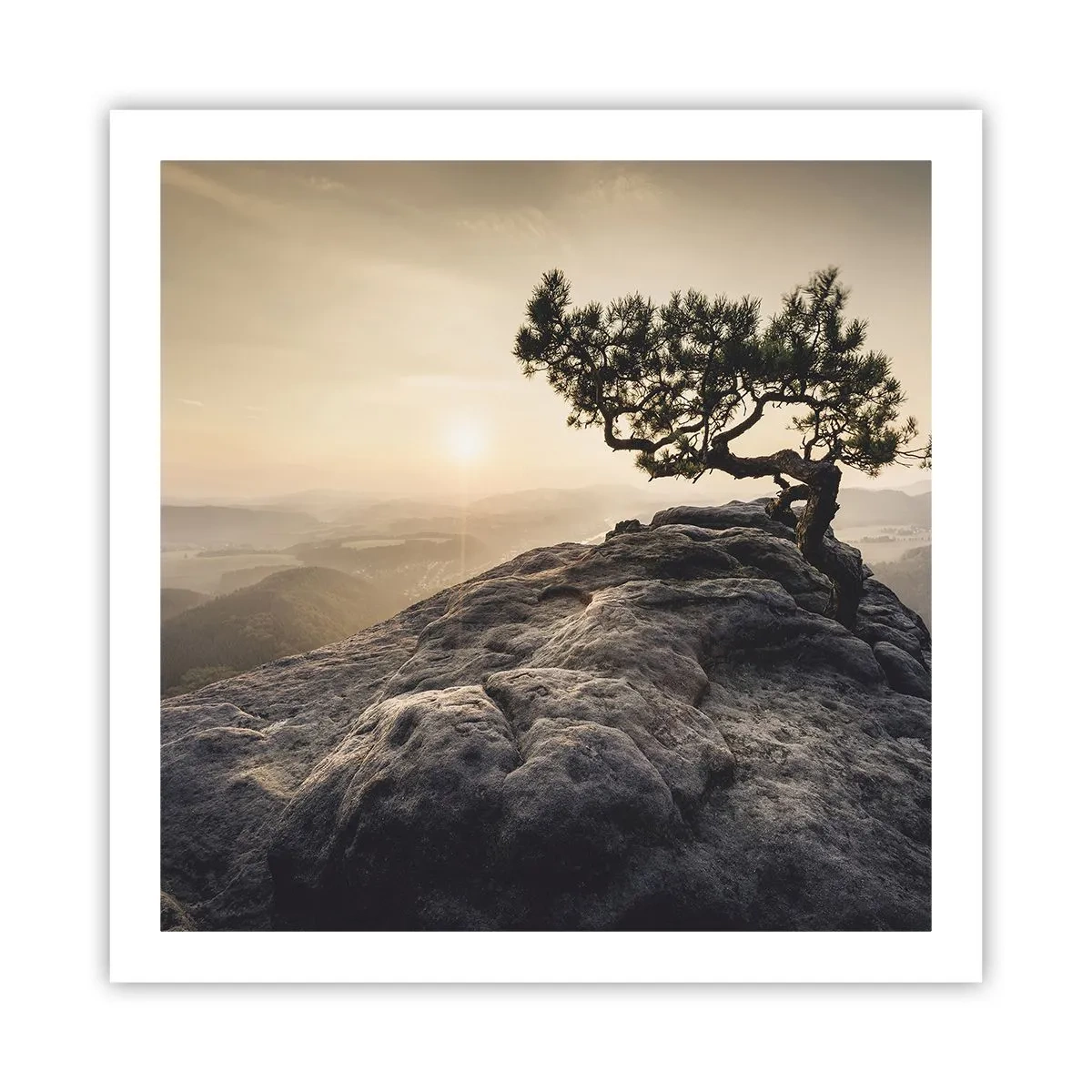 Poster - La vita vince sempre - 60x60 cm