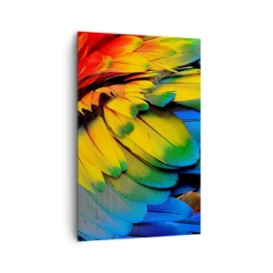 Quadro su tela - Stampe su Tela - Un primo piano delle piume colorate di un pappagallo - 80x120cm - L'uccello del paradiso - Decorazione murale moderna per soggiorno e camera da letto ARTTOR
