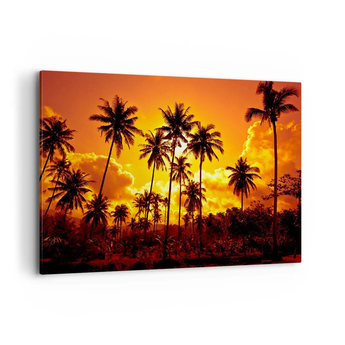 Quadro su tela - Stampe su Tela - Palme contro un cielo dorato durante un tramonto tropicale - 100x70cm - Bruciano i monti, bruciano i boschi - Decorazione murale moderna per soggiorno e camera da letto ARTTOR