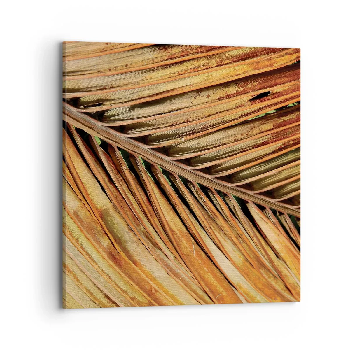 Quadro su tela - Stampe su Tela - Oro di cocco - 70x70 cm