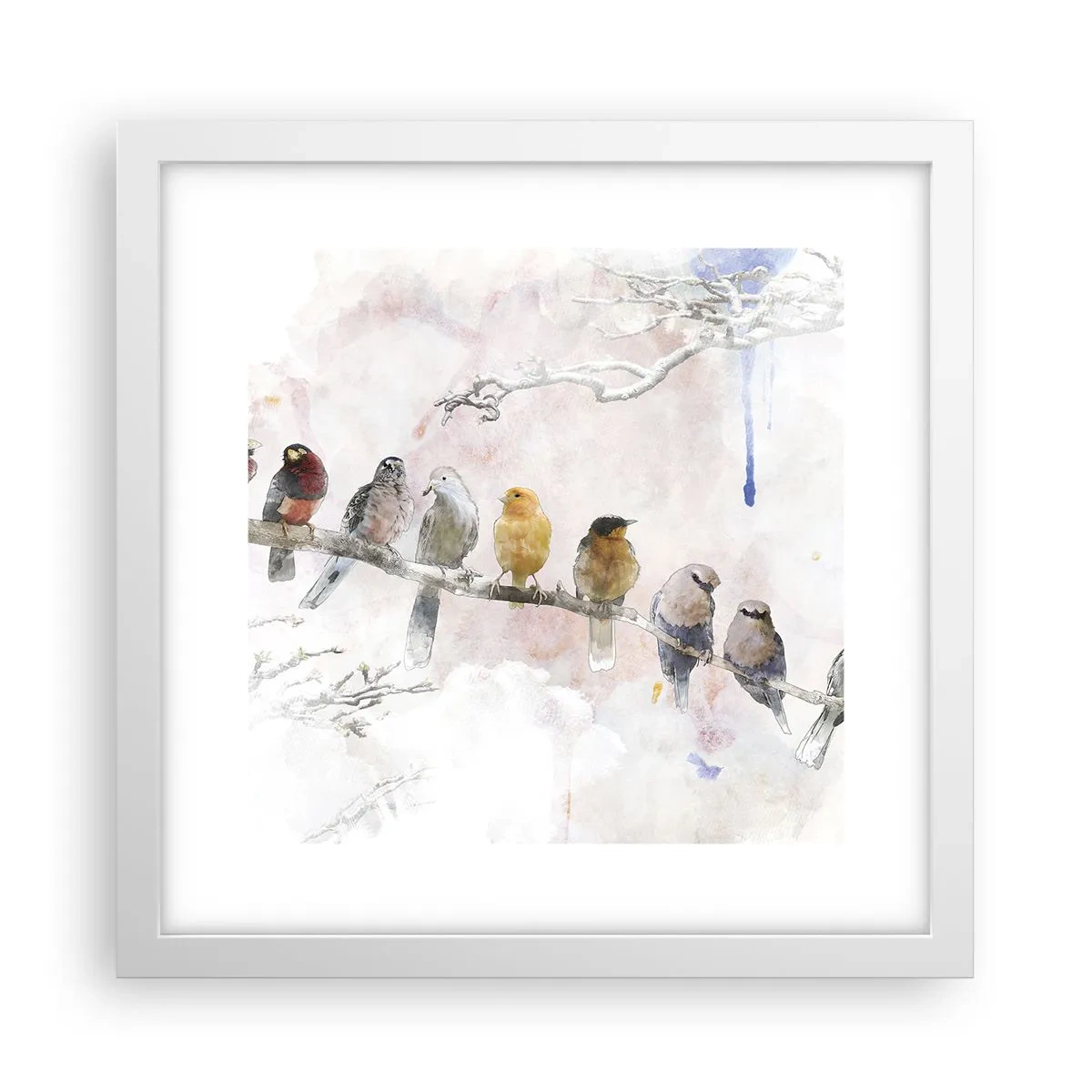 Poster in cornice bianca - Incontro alato - 30x30 cm