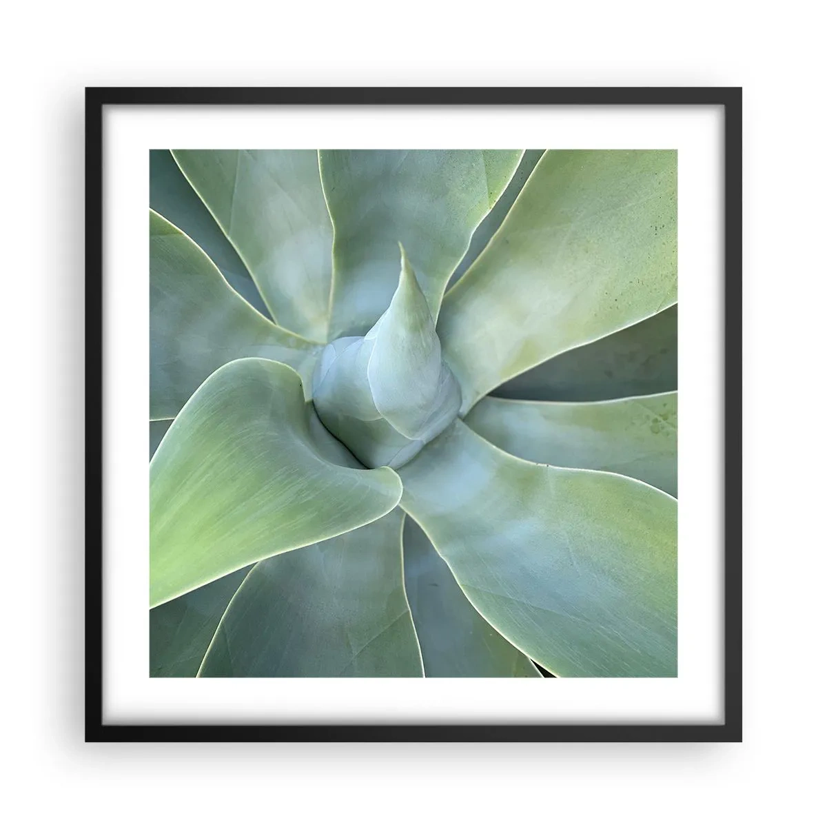 Poster in cornice nera - La nascita del verde - 50x50 cm