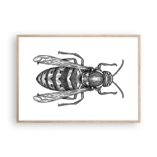 Poster in cornice rovere chiaro - Dal pianeta degli insetti - 100x70 cm