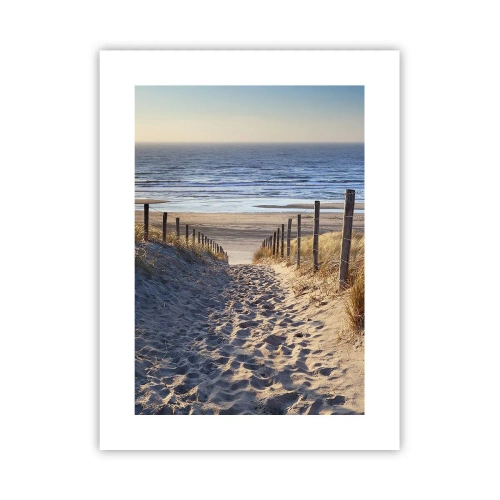 Poster - Rumore del mare, uccelli che cantano, spiaggia selvatica tra i cespugli... - 30x40 cm