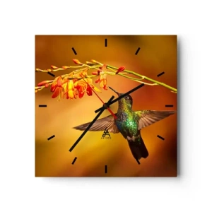 Orologio da parete - Orologio in Vetro - Colibrì vicino a un fiore nella calda luce - 30x30cm - Messaggero di luce secondo i Maya - Decorazione murale moderna per soggiorno e camera da letto ARTTOR