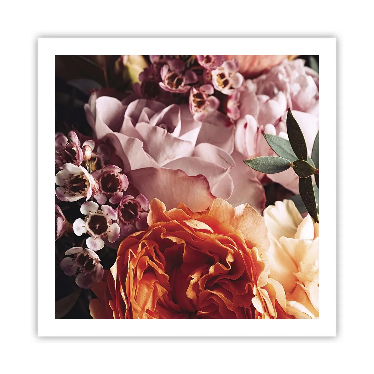 Poster - Avvolti dalla bellezza - 60x60 cm