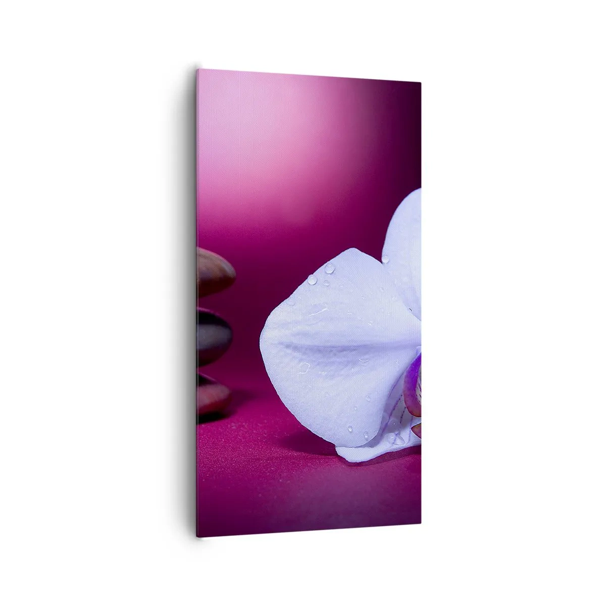 Quadro su tela - Stampe su Tela - Studio di freschezza in viola - 65x120 cm