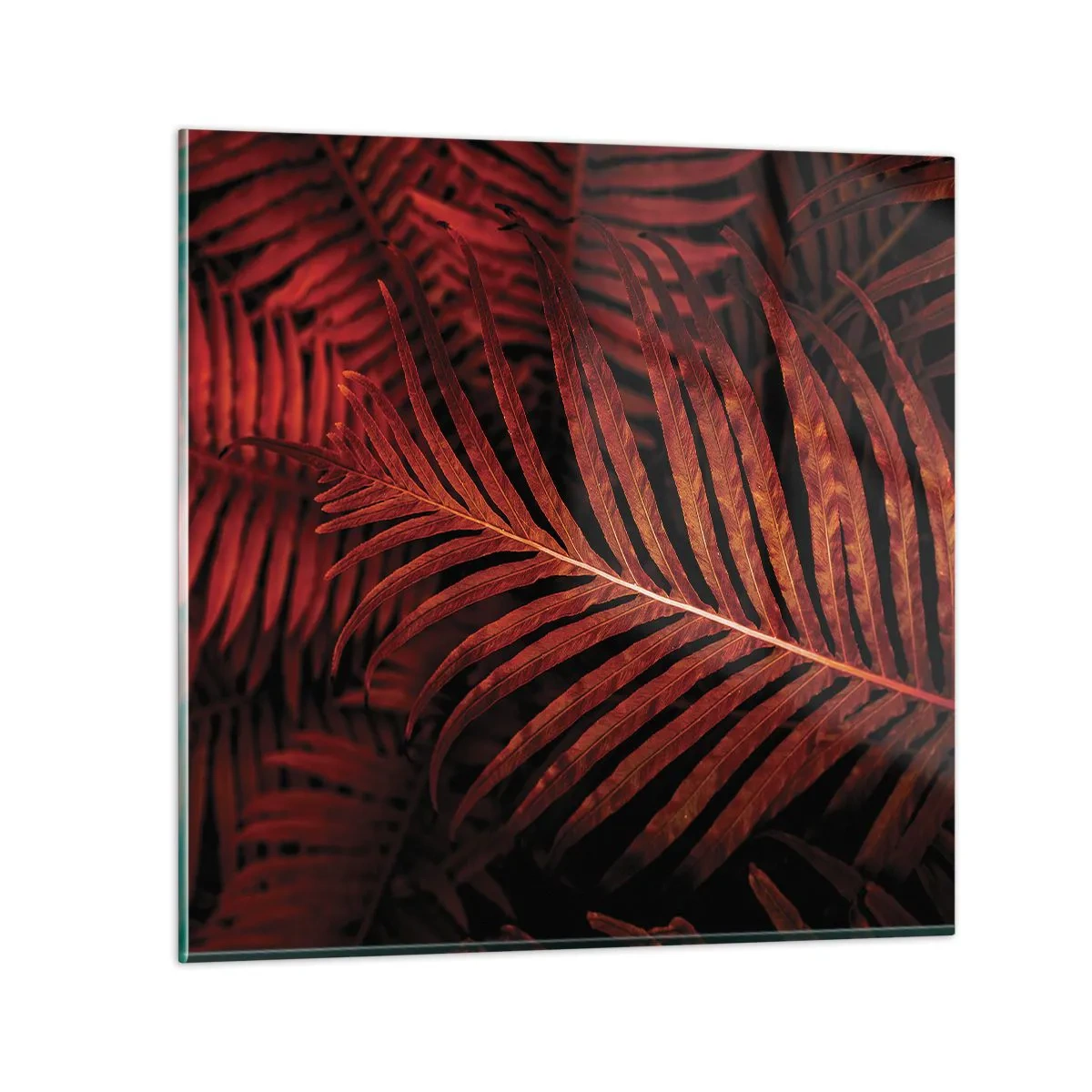 Quadro su vetro - Il calore della vita - 30x30 cm