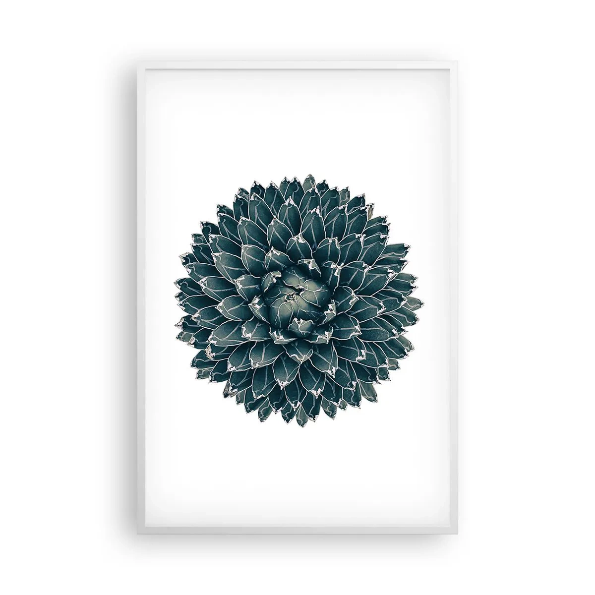 Poster in cornice bianca - La stella del deserto - 61x91 cm