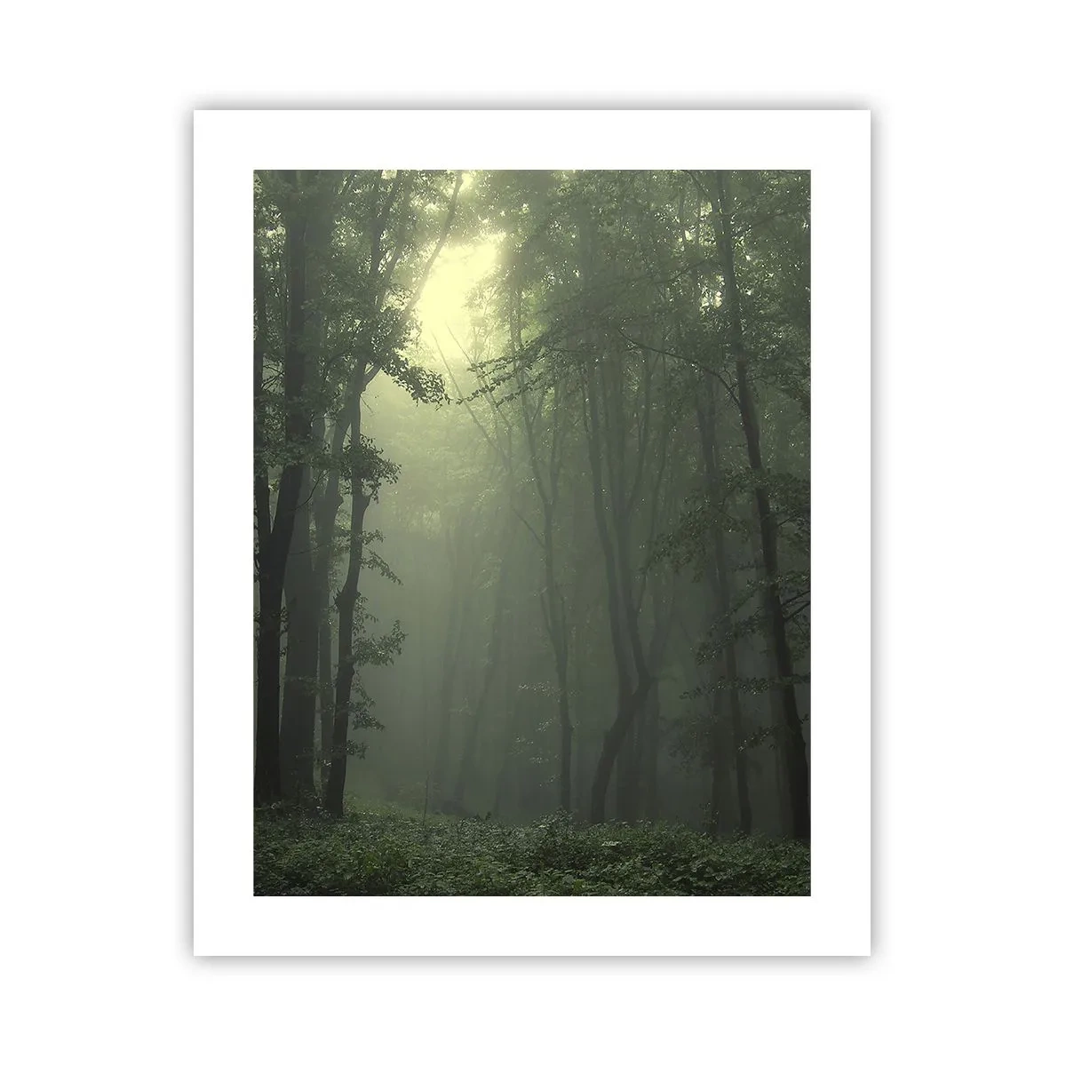 Poster - Prima che si svegli - 40x50 cm