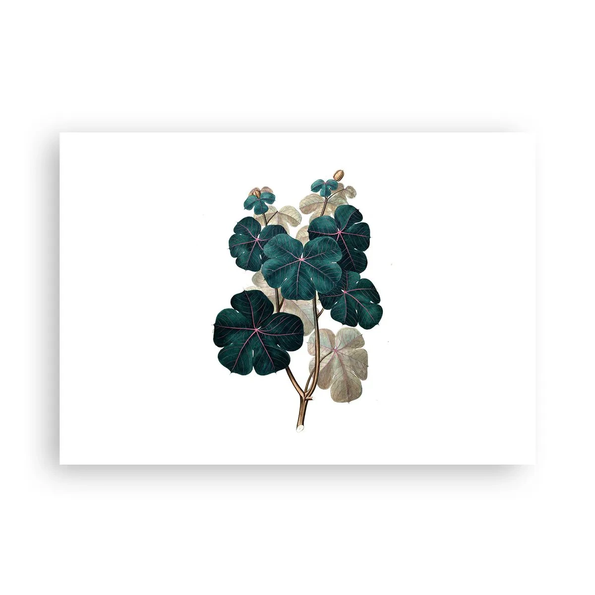 Poster - Illustrazione botanica con foglie nei toni del verde e del beige - 100x70cm - Dal vecchio erbario - Decorazione murale moderna per soggiorno e camera da letto ARTTOR