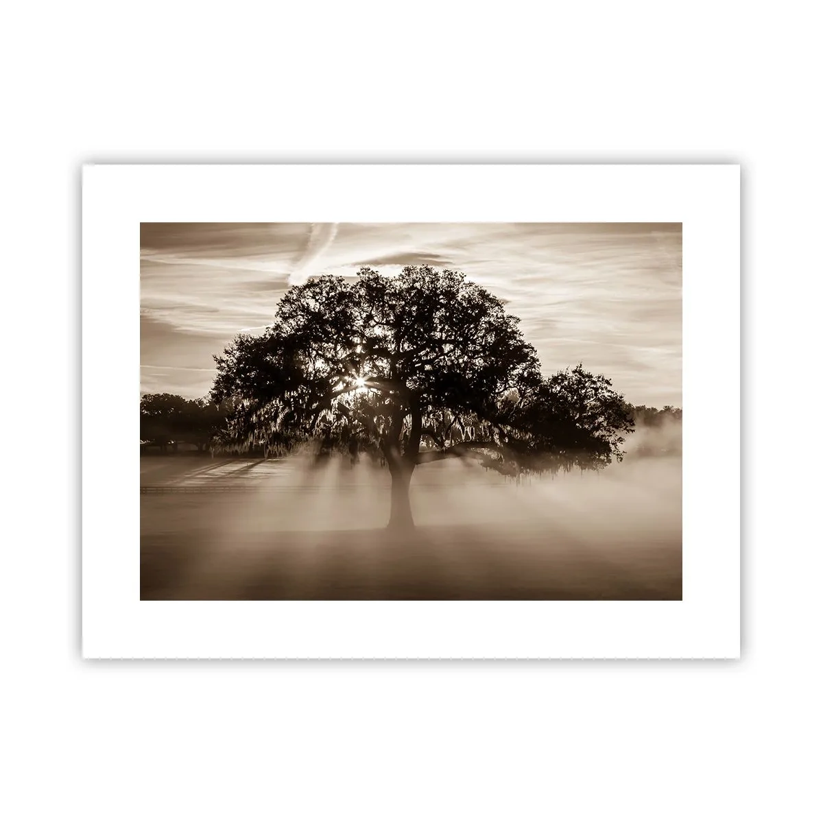 Poster - L'albero delle sole buone notizie - 40x30 cm