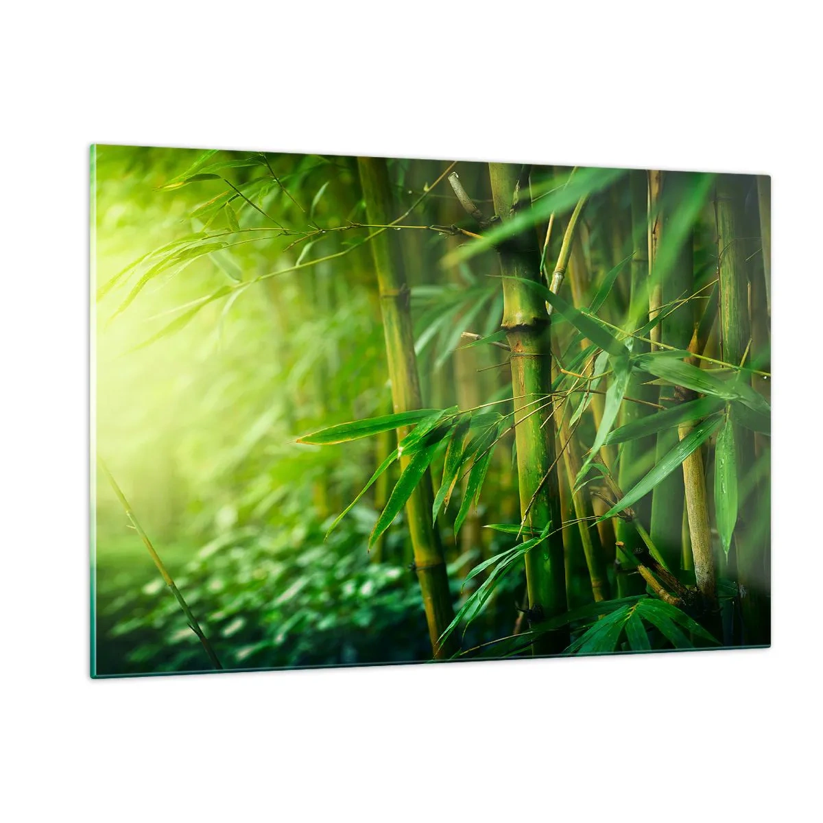 Quadro su vetro - Foresta di bambù verde al sole - 120x80cm - Conoscere il verde in sé - Decorazione murale moderna per soggiorno e camera da letto ARTTOR