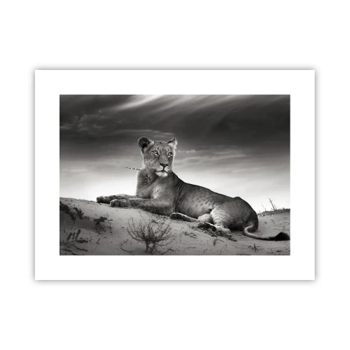 Poster - Il riposo della regina del deserto - 40x30 cm