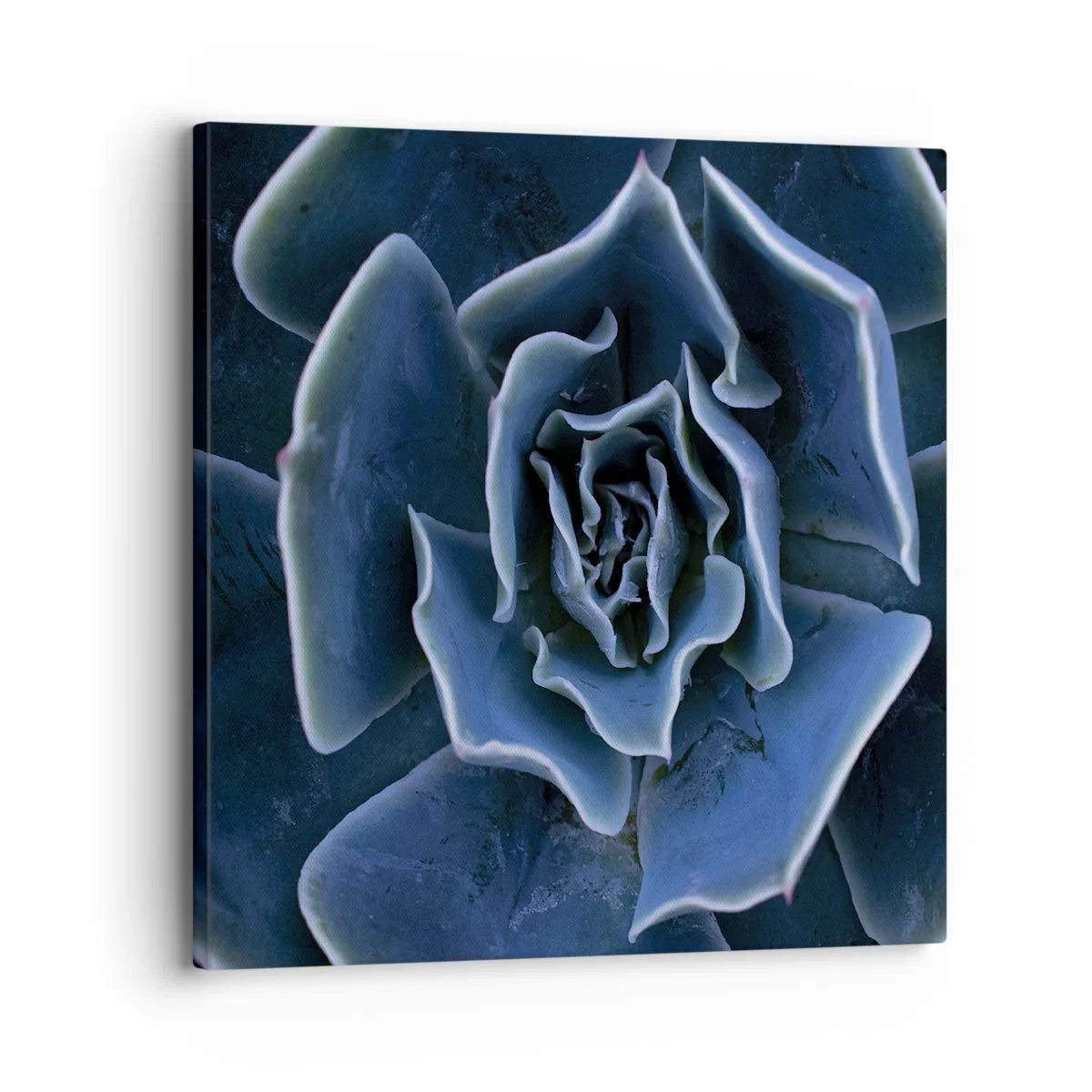 Quadro su tela - Stampe su Tela - Fiore del deserto - 30x30 cm