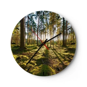 Orologio da parete - Orologio in Vetro - La luce del sole splende attraverso gli alberi alti nella foresta - 30x30cm - …dopo sette foreste - Decorazione murale moderna per soggiorno, cucina e camera da letto ARTTOR