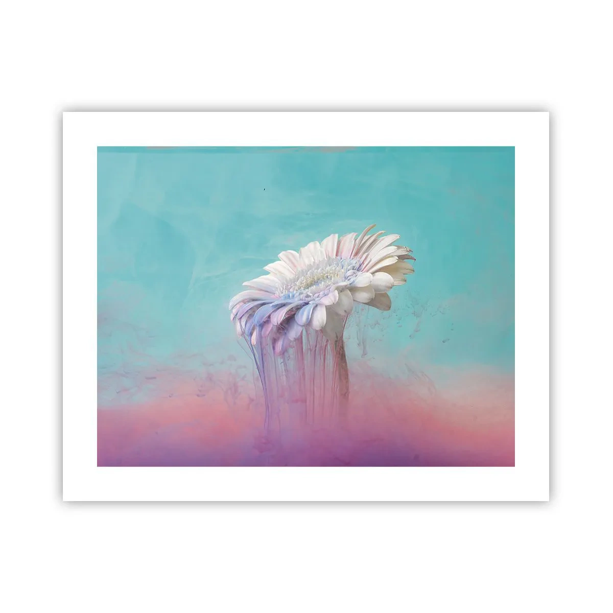 Poster - L'aldilà dei fiori - 50x40 cm