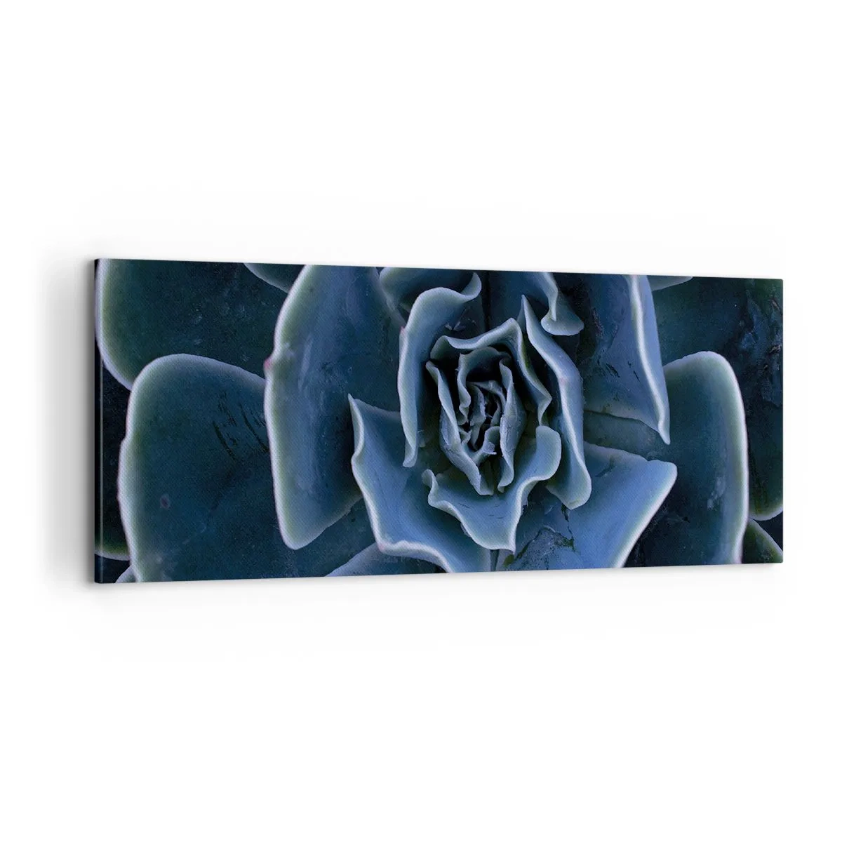 Quadro su tela - Stampe su Tela - Fiore del deserto - 100x40 cm